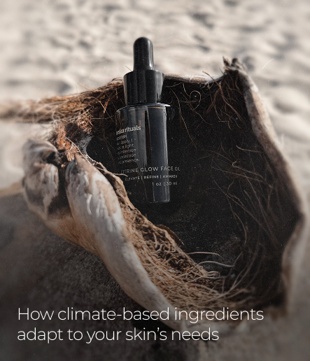 How climate-based ingredients adapt to your skin’s needs